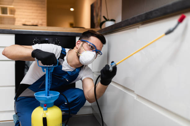 Best Mosquito Control Services  in Canadian, TX