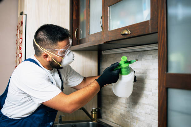 Best Residential Pest Control  in Canadian, TX