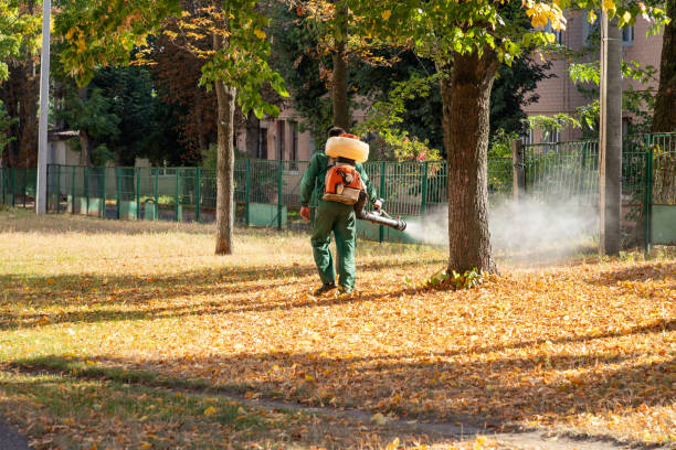 Best Cockroach Control Services  in Canadian, TX