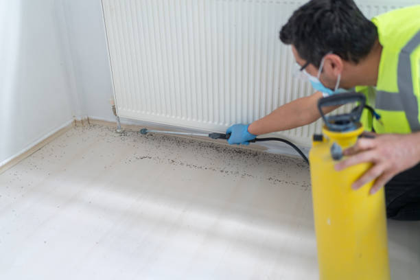 Best Affordable Pest Control Services  in Canadian, TX
