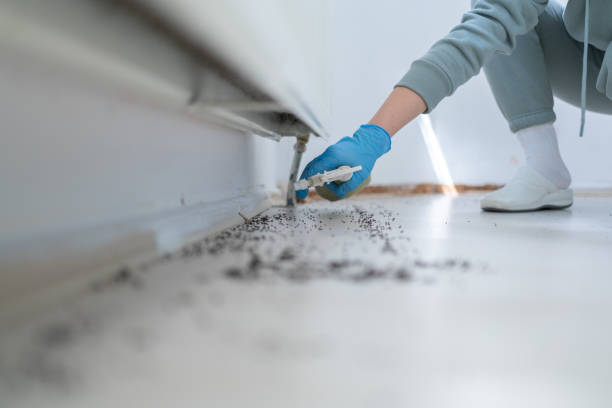Best Termite Control Services  in Canadian, TX