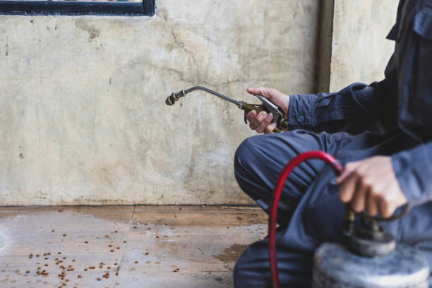 Best Best Pest Control Companies  in Canadian, TX